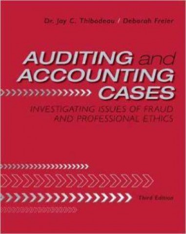 auditing cases pdf
